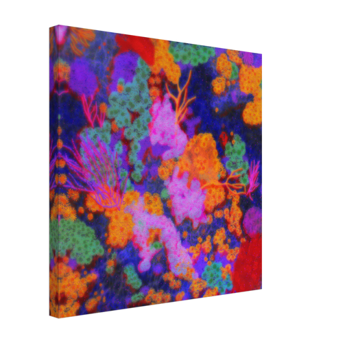 a85567f0-8e09-4815-9e6f-de394a6dccc2